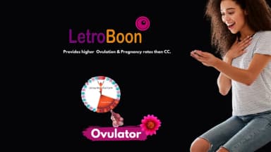 LetroBoon