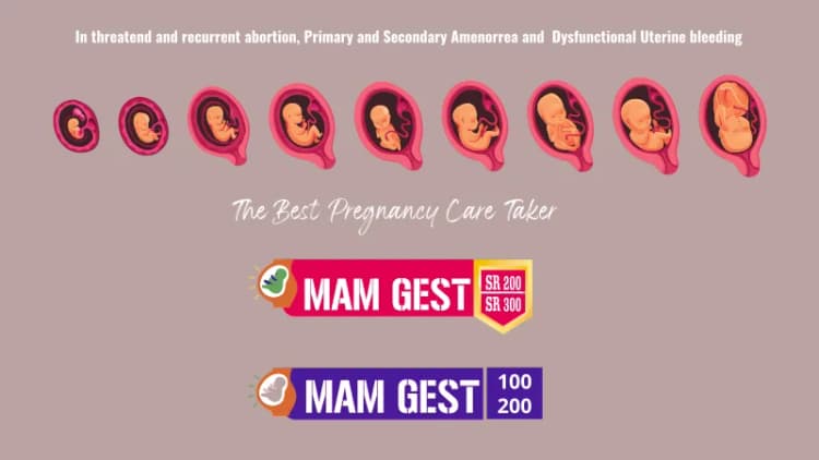 MAM GEST
